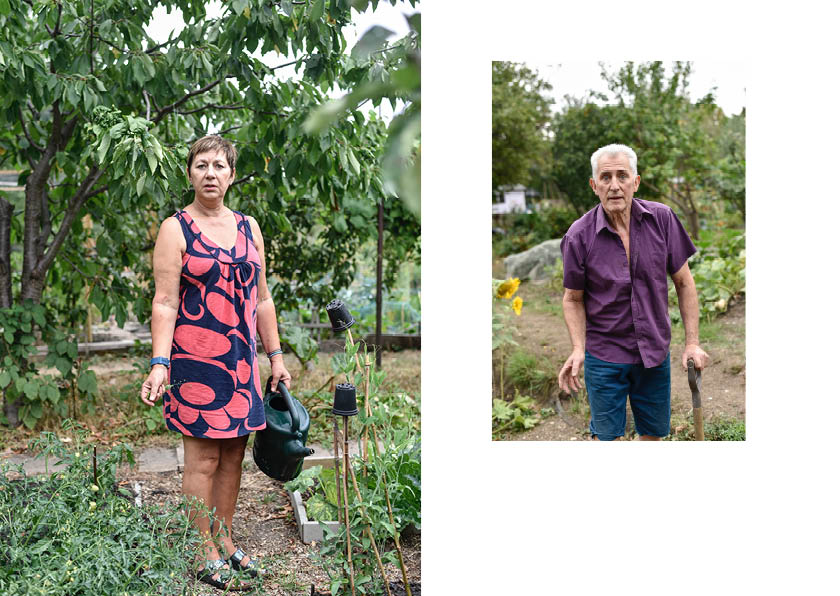 Northfields Allotments