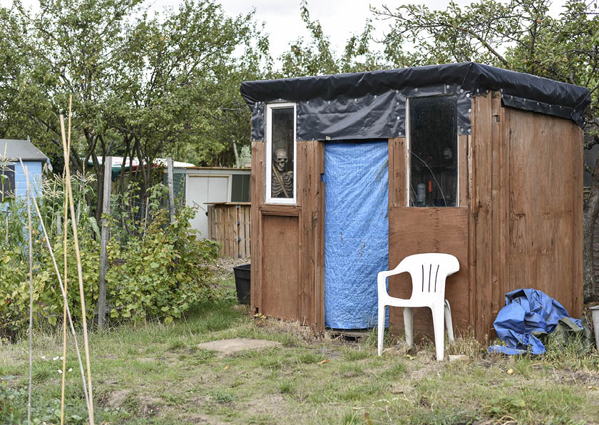 Northfields Allotments
