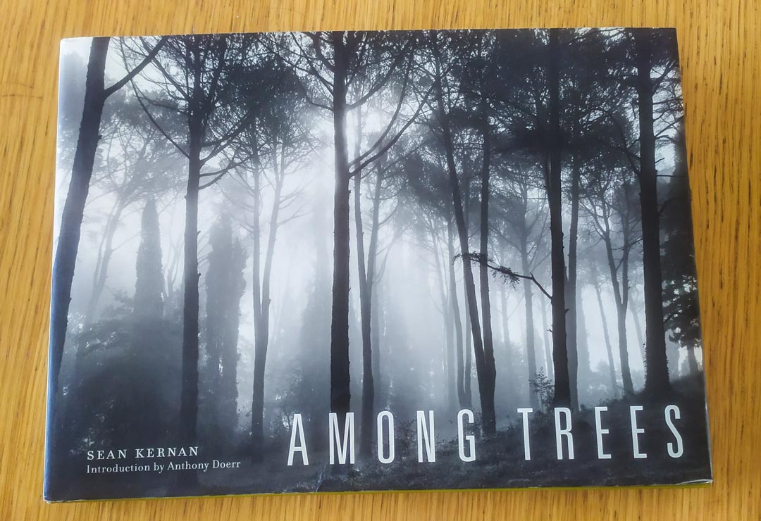 Among Trees by Sean Kernan book cover
