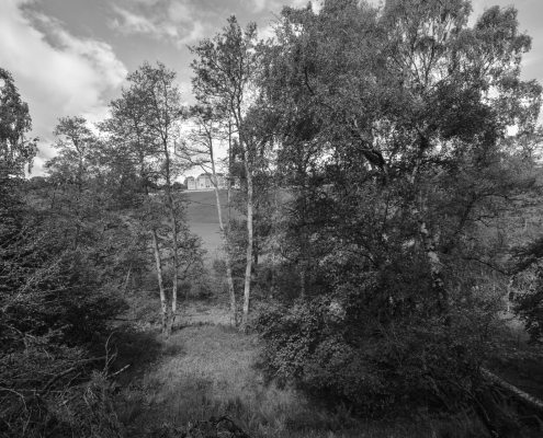 Downton Gorge