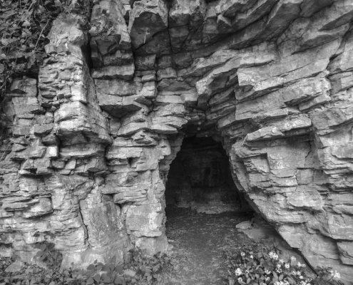 Downton Gorge