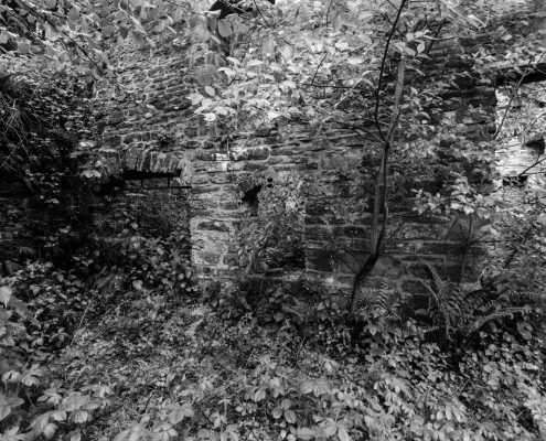 Downton Gorge