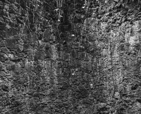 Downton Gorge